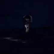 ぎゅんたーの画像