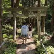 みーの画像