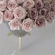 まろん