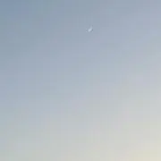 えだまめの画像