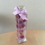 ミミの画像