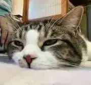 りょりょ【プロフ読んで下さい】