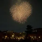 すいすいびの画像