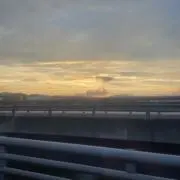 にゃんの画像