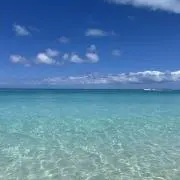 Lisyの画像