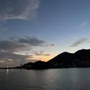 はらみの画像