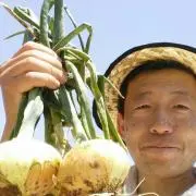 ポラム