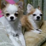 ☆hirochip☆の画像
