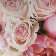 まるこの画像