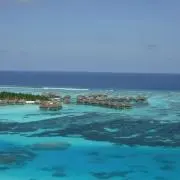 Saryの画像