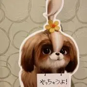 simaの画像