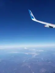 チー太朗の画像