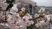asの画像