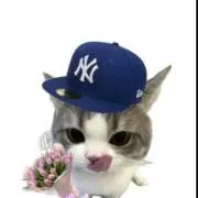 猫ちゃんさんの画像