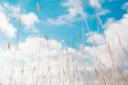 やっこ♪プロフご一読下さいませの画像