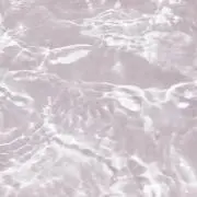 あの画像