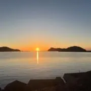 promnrの画像