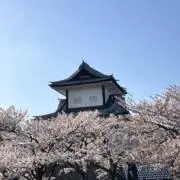 ゆこまろ⭐︎の画像