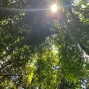 ゆうの画像