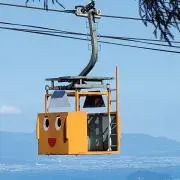 しまうまの画像
