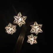 mameの画像