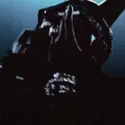 JIN ⚠︎プロフ必読