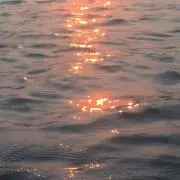 mmの画像