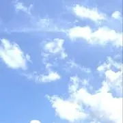 moの画像