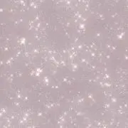 daRの画像