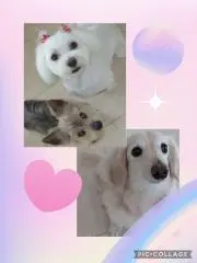 プロフィール 見てくださいね♪mari3