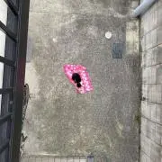 メルハロマスターの画像
