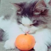 かりん