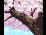 何処かの本丸の審神者ですの画像