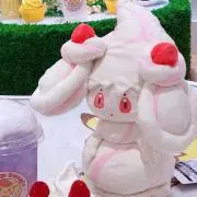 ののん@猫飼ってますの画像