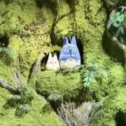 R.の画像