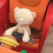 ちゃんゆの画像