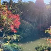 ☆あい☆の画像