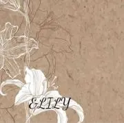 &LILYの画像