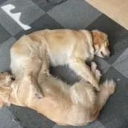 みい
