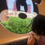 31nyaの画像