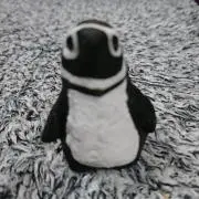 penguinの画像