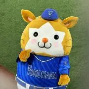 ソレルの画像