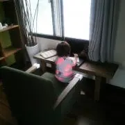 らくだの画像