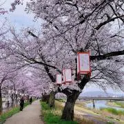 石くんの画像