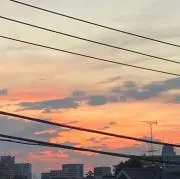 ガジュ丸の画像