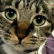 のりのすけ～プロフ読んでね♪