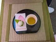 oharacchi 0302