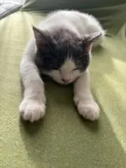 のむ君
