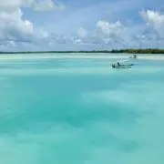 スフラの画像