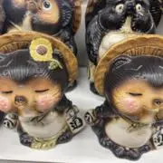 tomoの画像